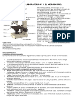 Practica de Laboratorio N