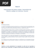 DERECHO PROCESAL CIVIL III - Tema III