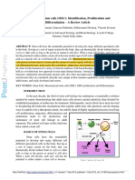 Mesenchymal Stem Cells