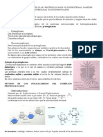 TEMA 43 Glucoconjugados