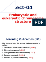 TM-04 Prokaryotic and Eukaryotic Chromosome Structure (Genap 2016-2017)