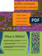 Mrsa PP Microsoft PP PPT Final Without NCP