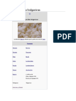 Lactobacillus Bulgaricus