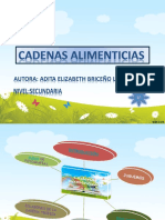 CADENAS ALIMENTICIAS - PPT