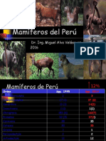 Mamiferos Del Peru