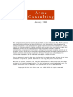 AcmeConsulting PDF