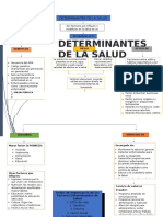 Determinantes de La Salud