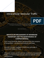 Intra Cellular Vesicular Traffic