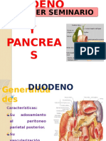 Duodeno y Pancreas