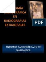 Anatomia Radiográfica Extraoral