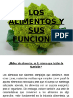 Los Alimentos y Sus Funciones