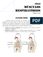 043 Musculos Da Respiracao 2