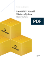 Pureyield Plasmid Miniprep Protocol Promega