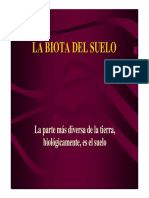 La Biota Del Suelo PDF