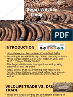 Wildlife Trade Powerpoint