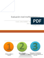 11° Evaluación Morfosintaxis y Discurso