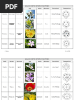 Diagrammes Et Formules Florales - Copie PDF