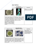 Micologia PDF