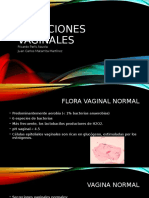 22.infecciones Vaginales