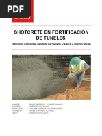 Informe Final Shotcrete