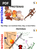 PROTEÍNAS