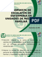 Funciones Profesionales de La EEMF Última