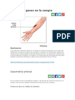 Prueba de Gases en La Sangre