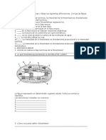 Biologia Cuestionario