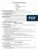 Plan de Desarrollo Curricularlina