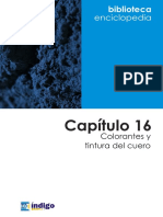 Capitulo 16 Colorantes Tintura Del Cuero PDF