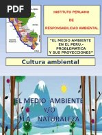 Cultura Ambiental Medio Ambiente Peru