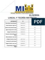 Algebra Lineal y Teoria Matricial