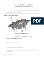 2 Photosynthesis-Whats in A Leaf-S