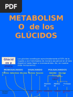 Glucolisis Aerobia y Anaerobia PDF