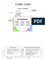 Fichas Dinosaurios