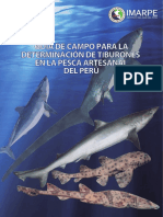 Especies Tiburones Peru