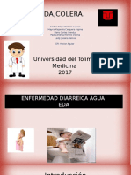 Exposicion de Salud Publica Enfermedad Diarreica Aguda y Colera