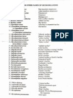 List of Bacteria 40 Scientific Names With 40 Common Names