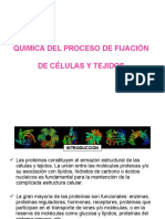 Química Del Proceso de Fijación