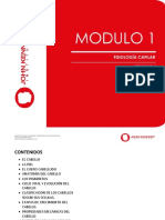 Modulo 1