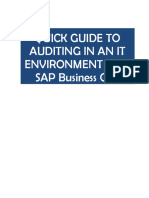 UE SAP Auditing