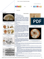 Fósiles - Ammonites - Región de Murcia Digital PDF