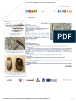 Fósiles - Otros Cefalópodos - Belemnites - Región de Murcia Digital PDF