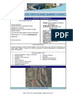 Infografia de Puente