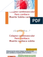 Paro Cardiaco