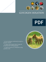 E6 Isolation of Glycogen