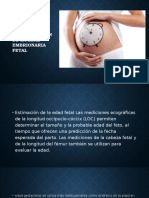 Determinacion de La Edad Embrionaria Fetal