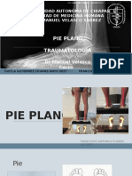 Pie Plano