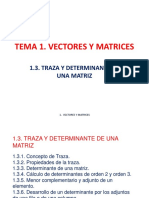 Tema1 3 Traza Determinante