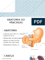 1 Anatomia Do Pâncreas